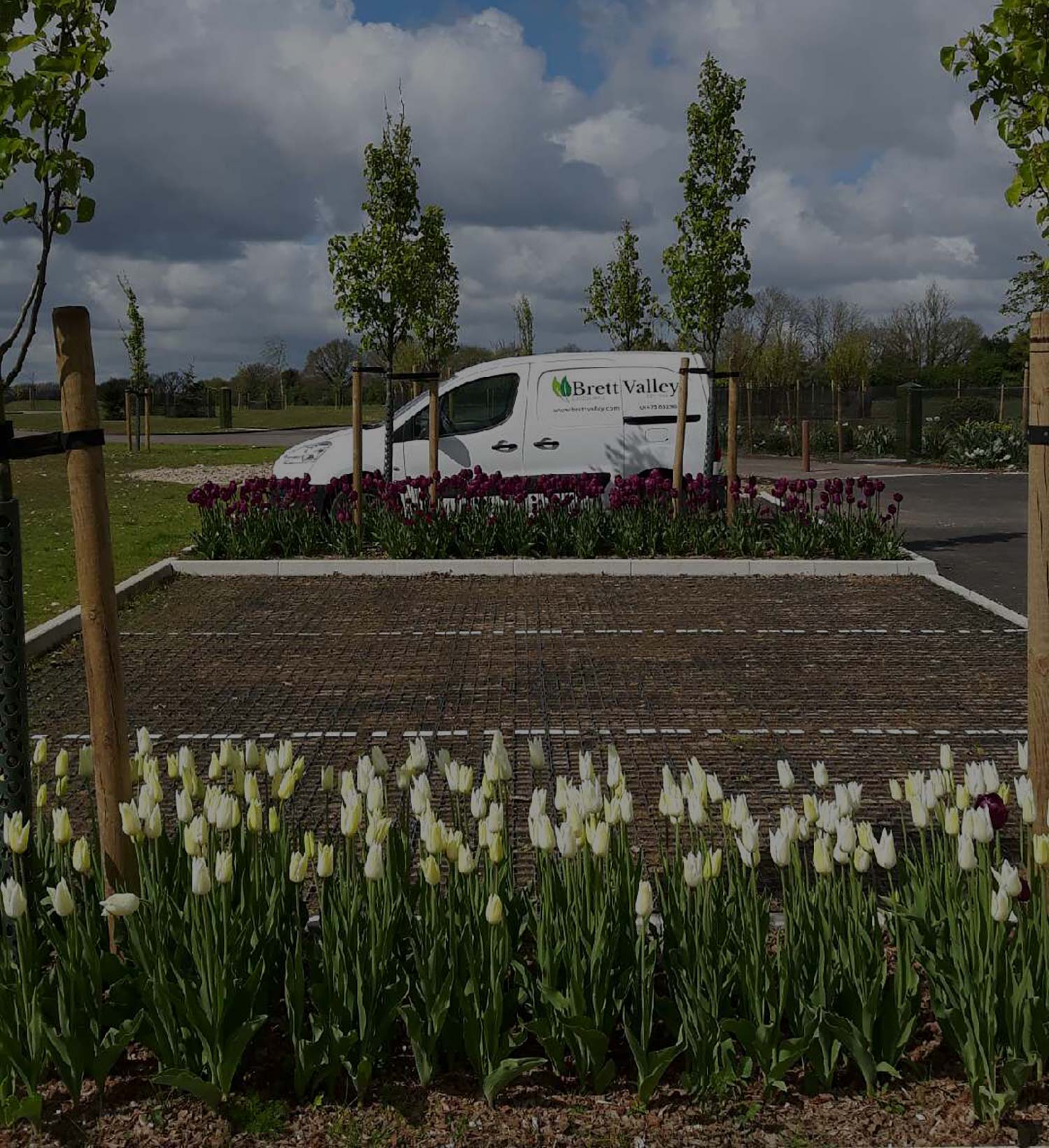 Cemetery planting at Dereham, Norfolk