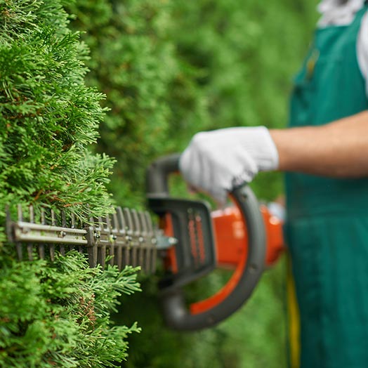 Hedge cutting Essex, Suffolk and Hertfordshire