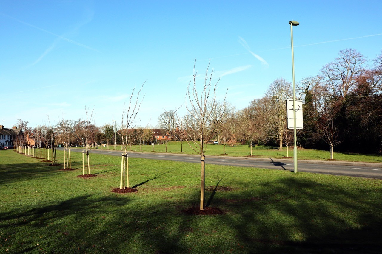 Forty Four trees each dedicated to a member of the Armed Forces who had died during World War II
