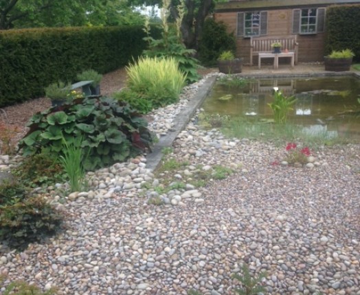 Wildlife pond, Suffolk